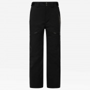 Мужские брюки The North Face Мужские брюки The North Face Chakal Pant